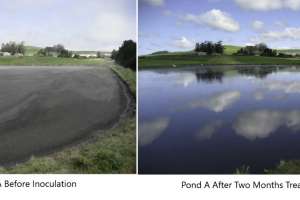 Sludgehammer case study 231110 130331