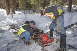 Snowbridge carlscofield 6