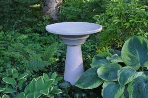 The dirty bird large