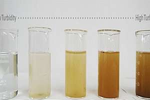 Turbidity