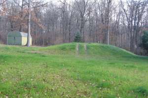 Vegetation Traffic Problem