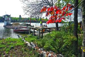 Vitta excavating sample 18