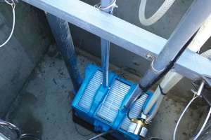 Webtrol pumps case study